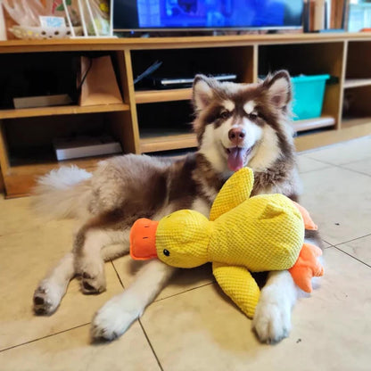 Calming Duck - Dog Therapy Toy