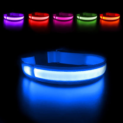 Luminous Pet Collar