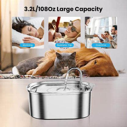 Pet Filtered Water Fountain