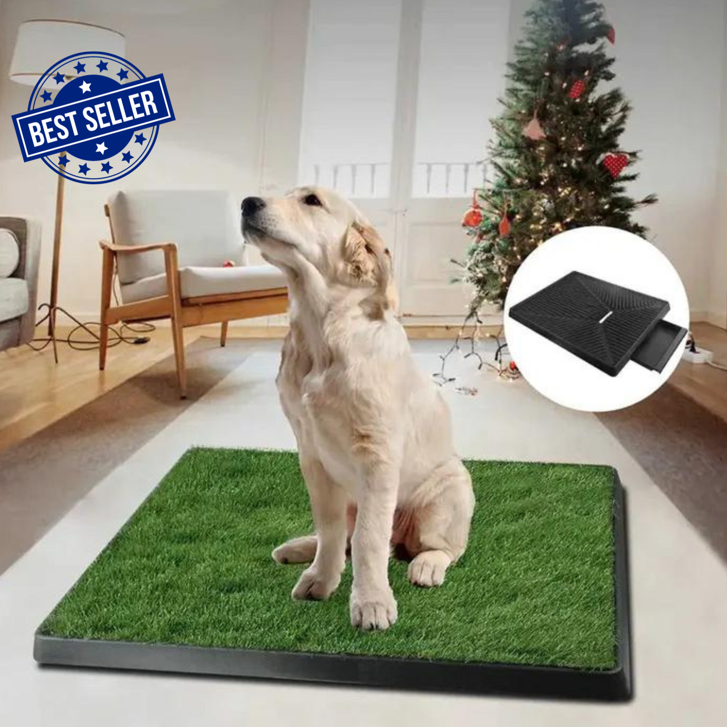Pet Potty