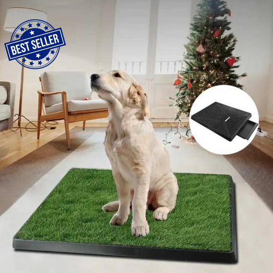 Pet Potty