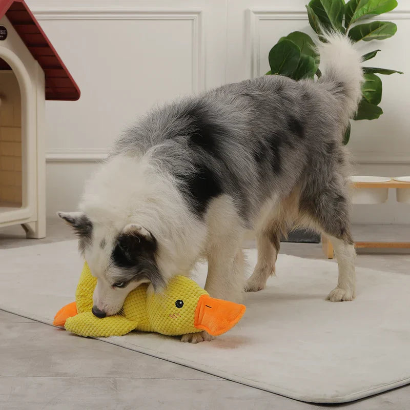Calming Duck - Dog Therapy Toy