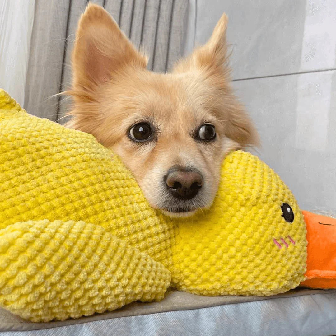 Calming Duck - Dog Therapy Toy
