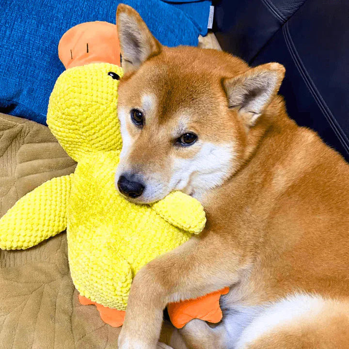Calming Duck - Dog Therapy Toy