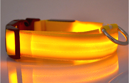 Luminous Pet Collar