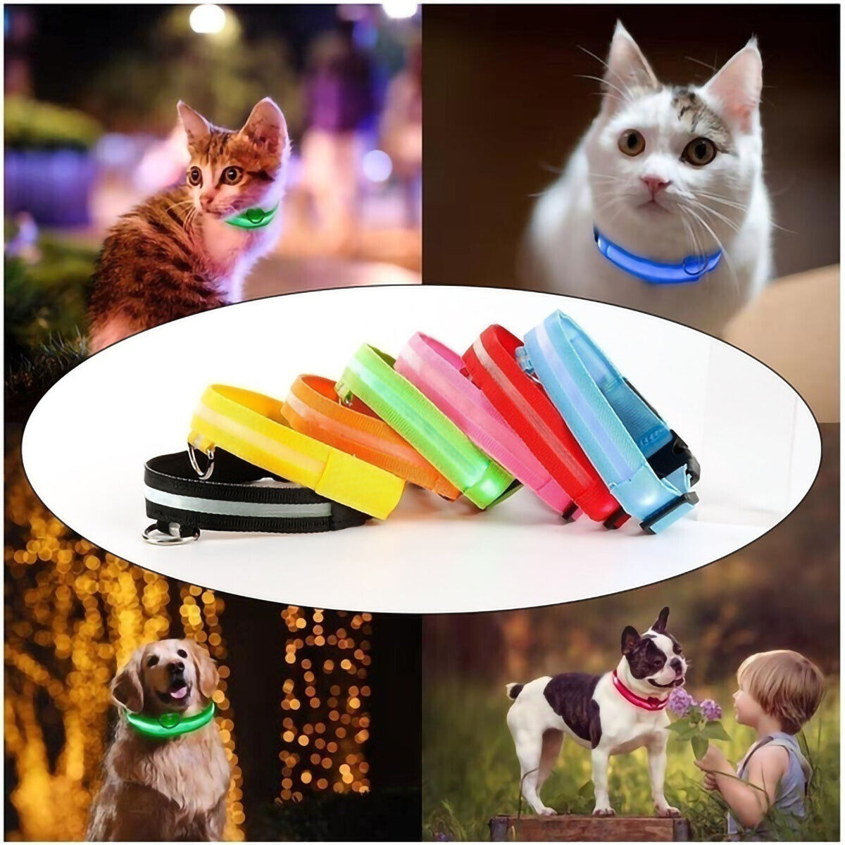 Luminous Pet Collar