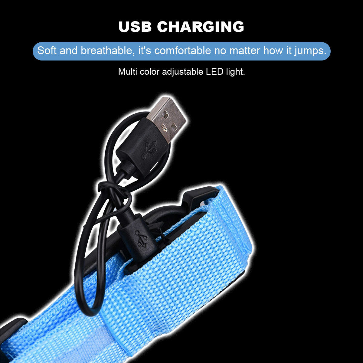 Luminous Pet Collar