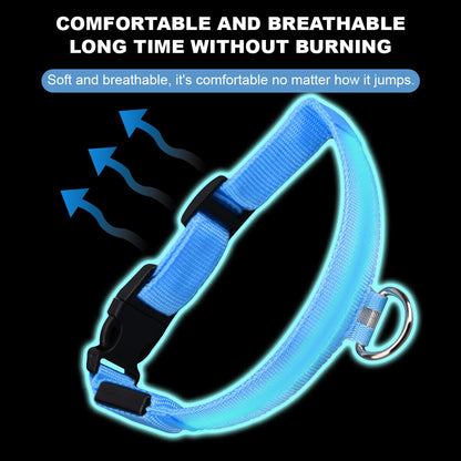 Luminous Pet Collar