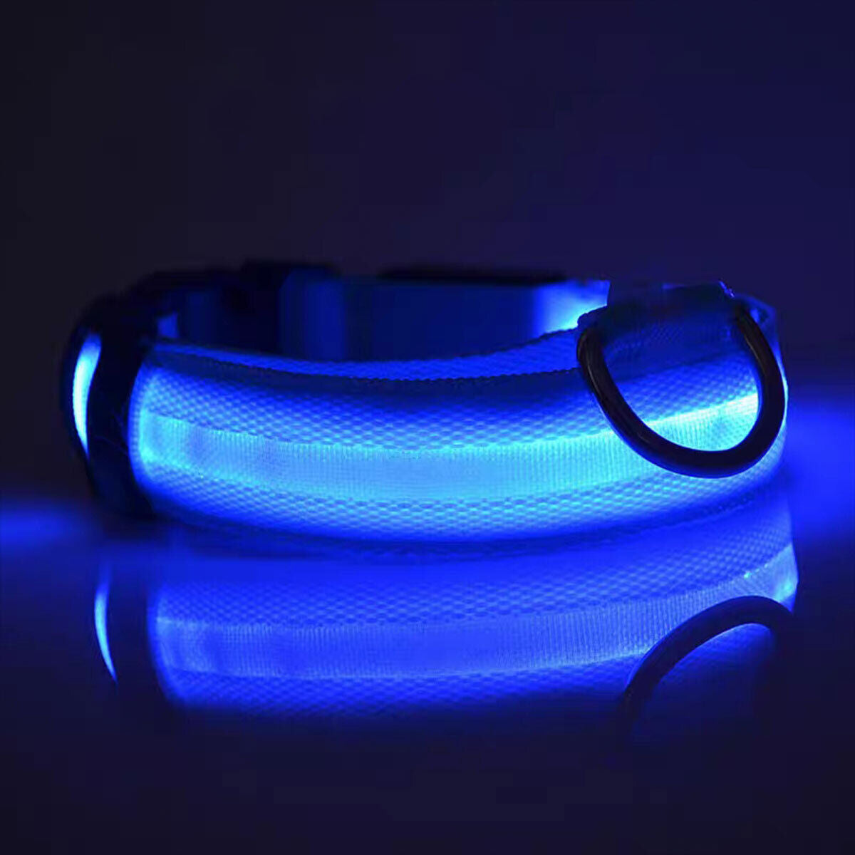 Luminous Pet Collar