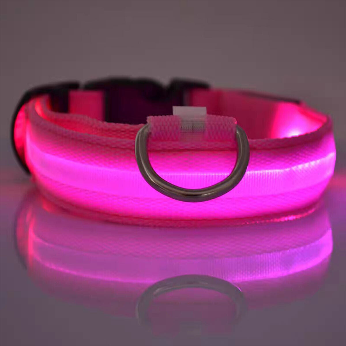 Luminous Pet Collar